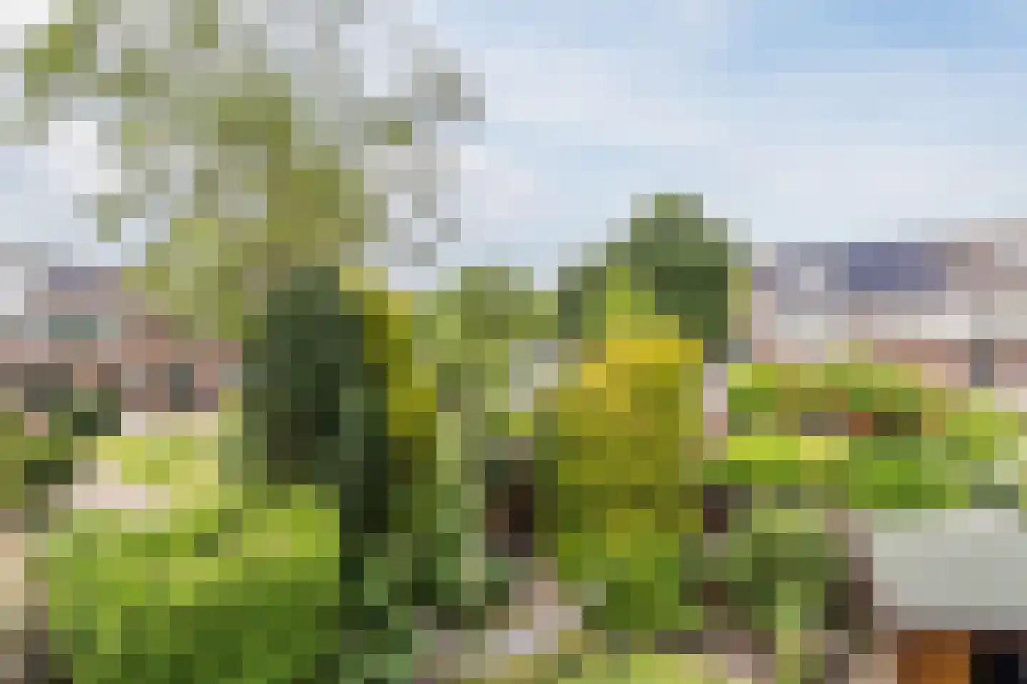 Rietschoot 187 Oostzaan thumbnail 34