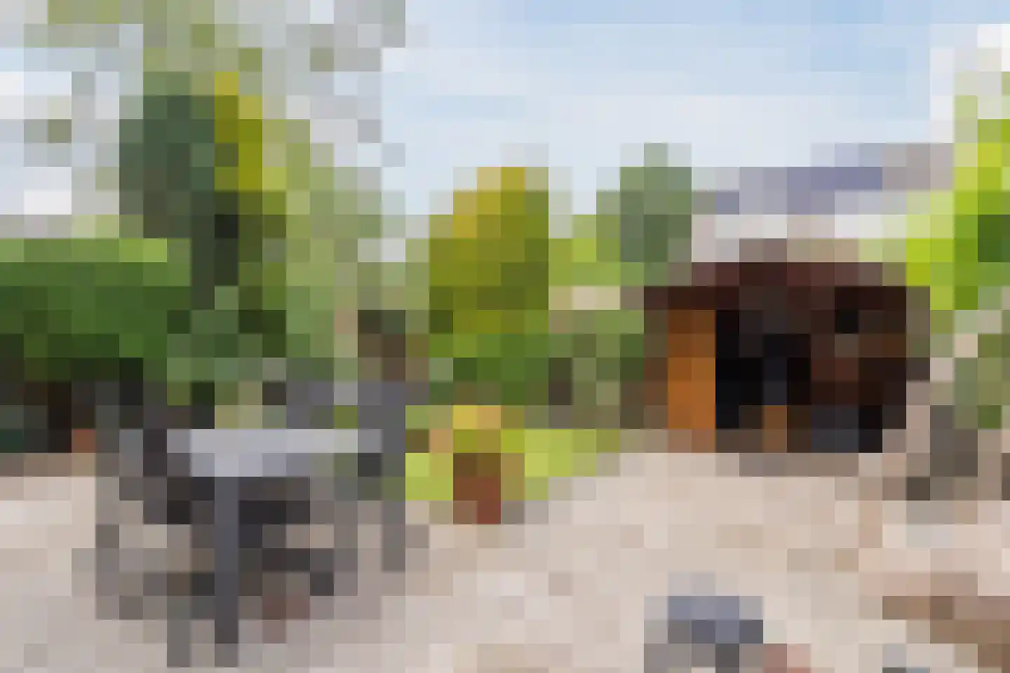 Rietschoot 187 Oostzaan thumbnail 35