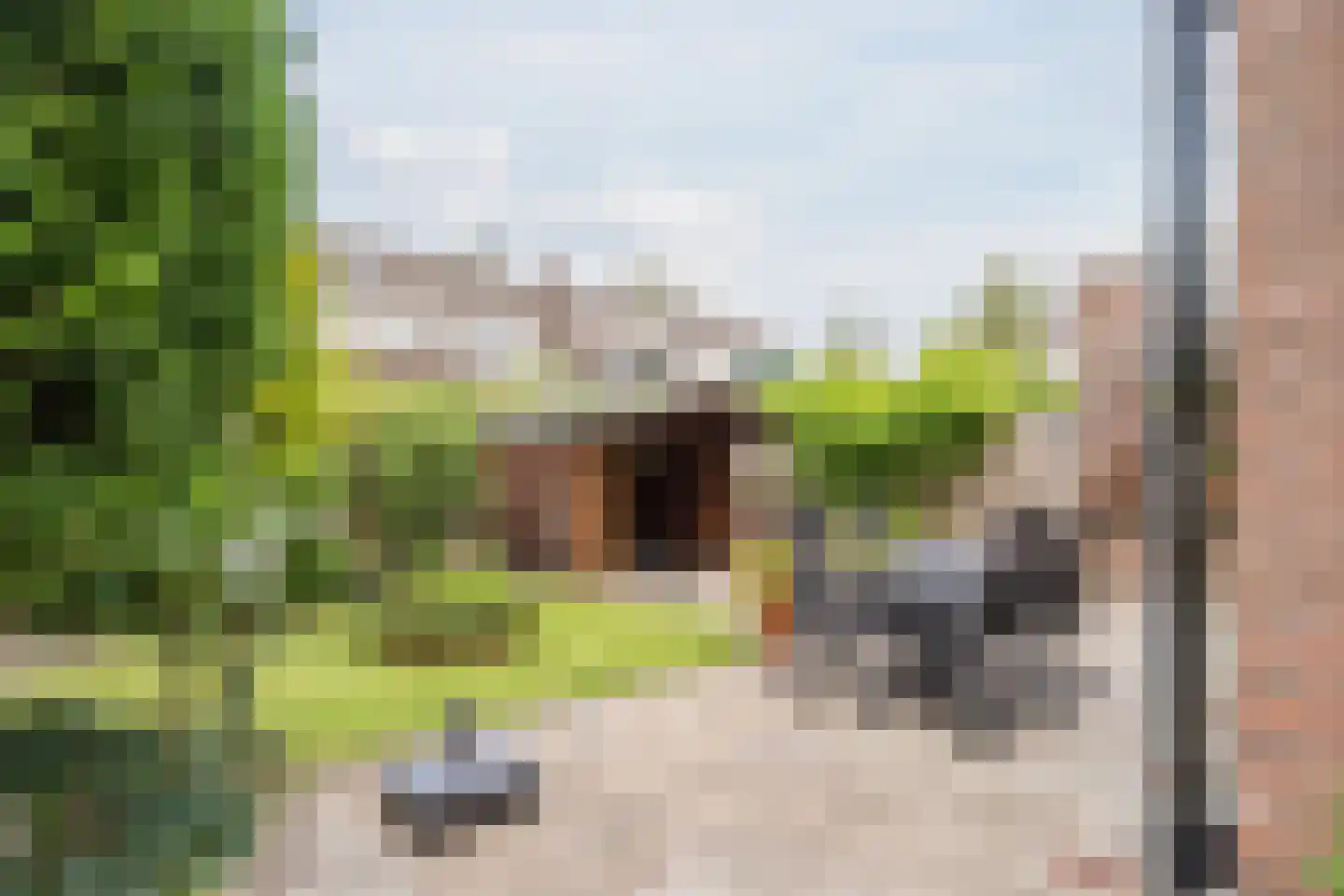 Rietschoot 187 Oostzaan thumbnail 38