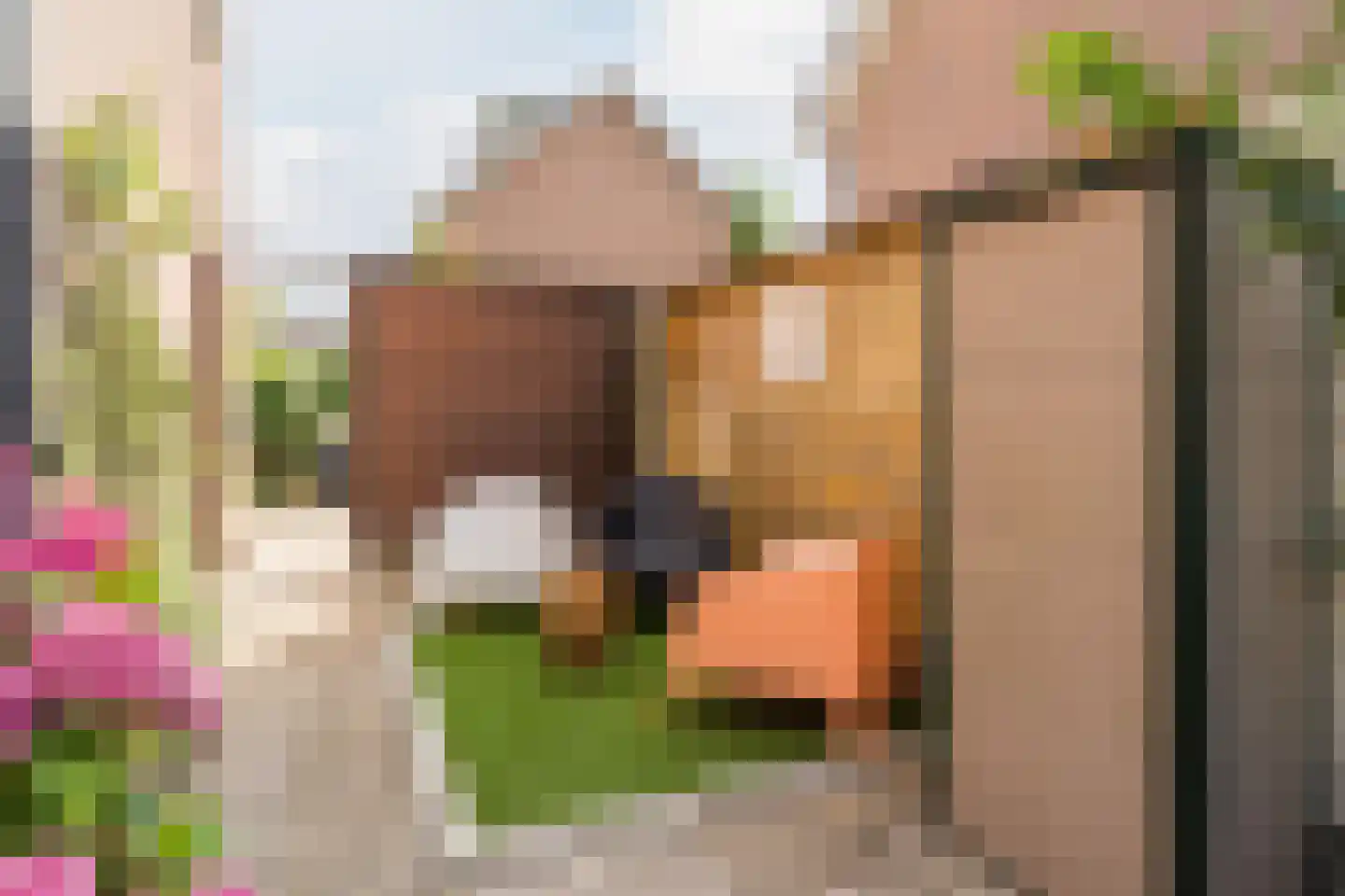 Rietschoot 187 Oostzaan thumbnail 39
