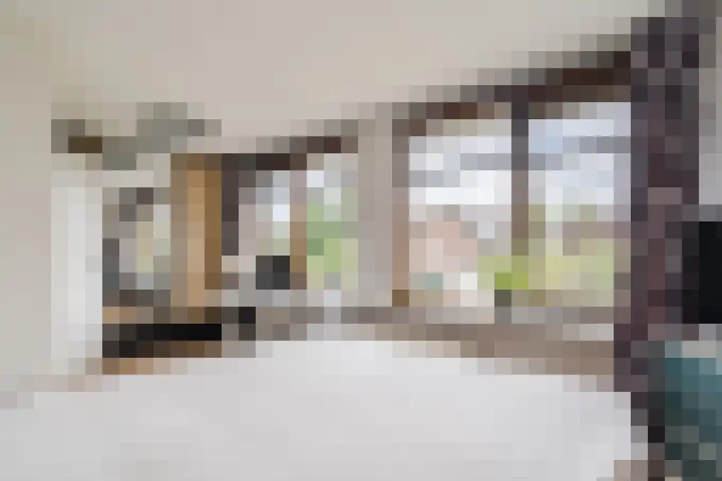 Rietschoot 187 Oostzaan thumbnail 4