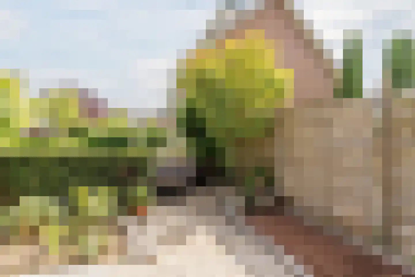 Rietschoot 187 Oostzaan thumbnail 40