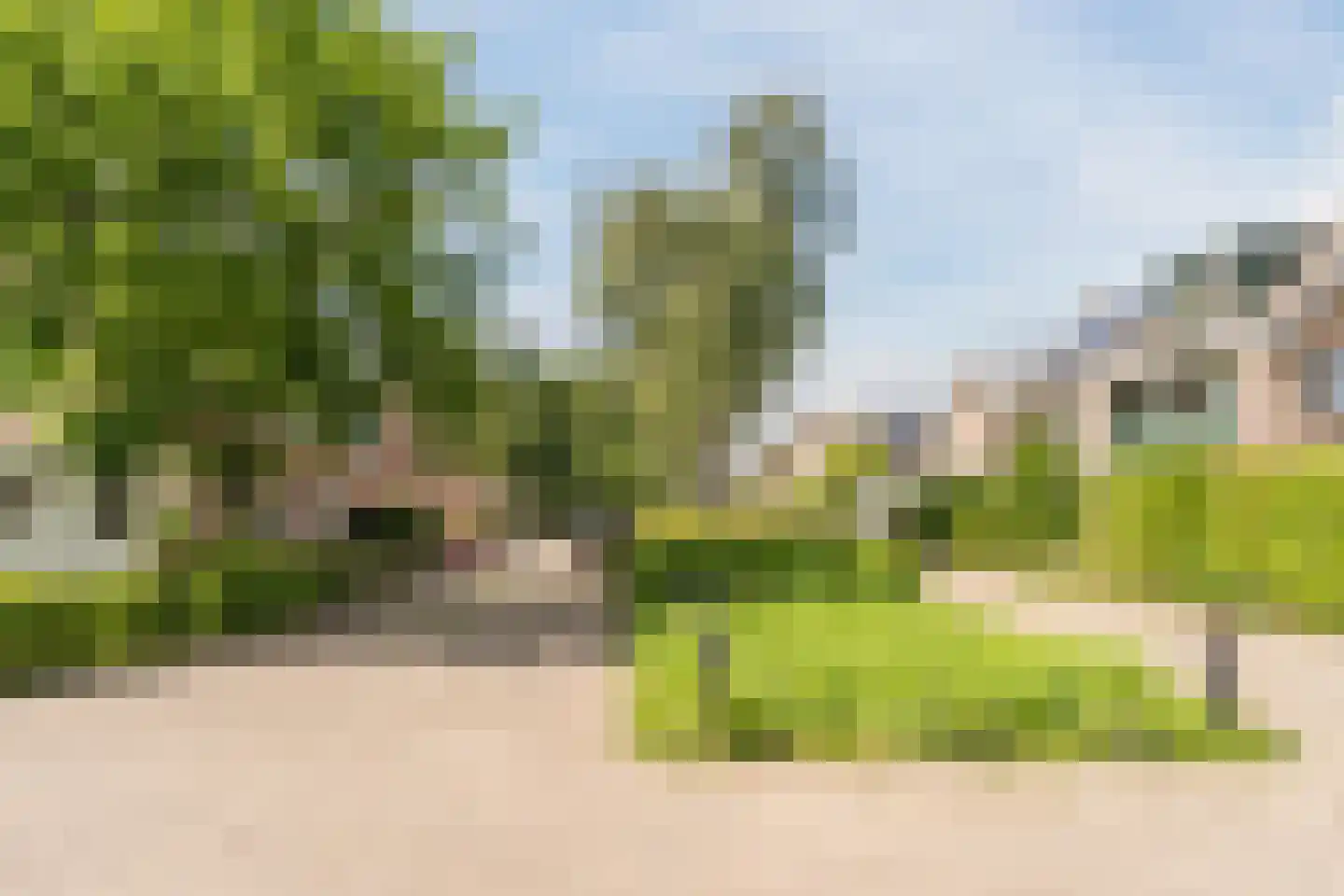 Rietschoot 187 Oostzaan thumbnail 41