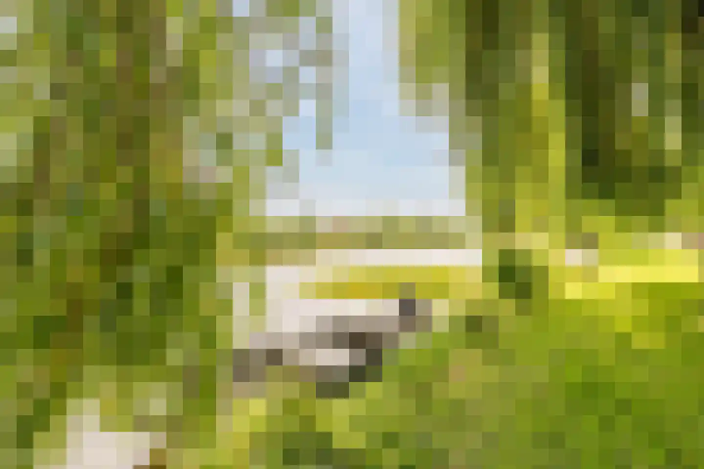 Rietschoot 187 Oostzaan thumbnail 43
