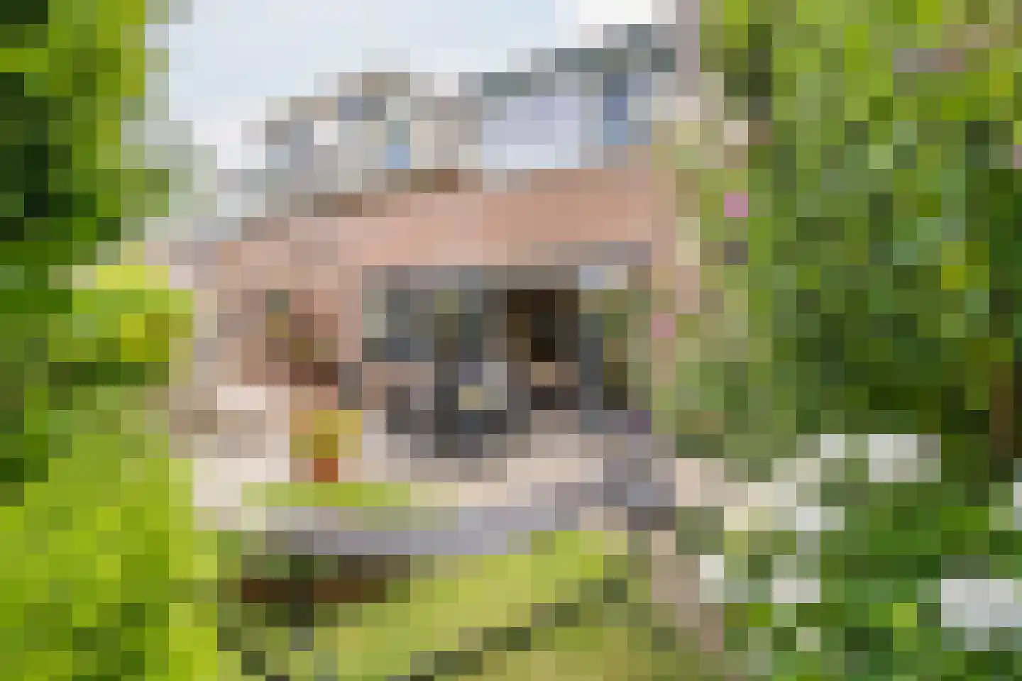 Rietschoot 187 Oostzaan thumbnail 5