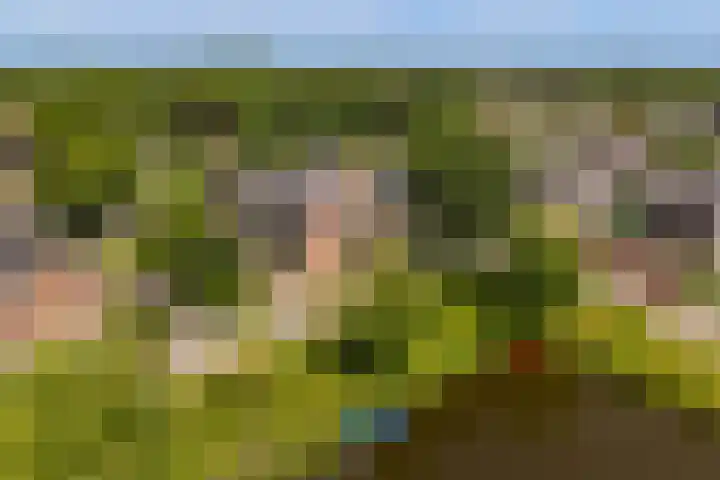 Rietschoot 217 Oostzaan thumbnail 14