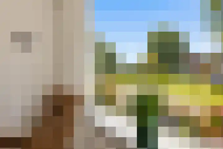 Rietschoot 217 Oostzaan thumbnail 17