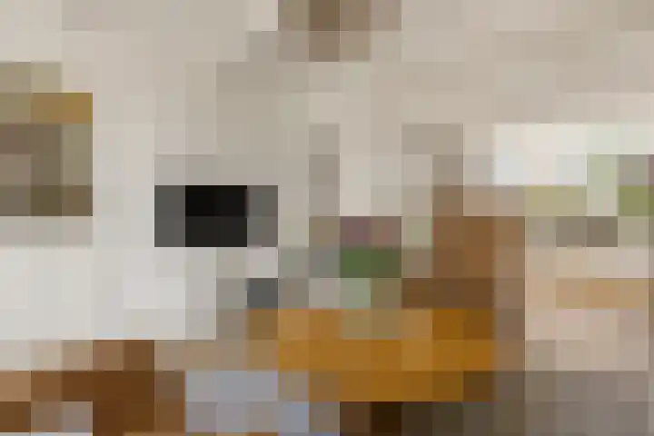 Rietschoot 217 Oostzaan thumbnail 18