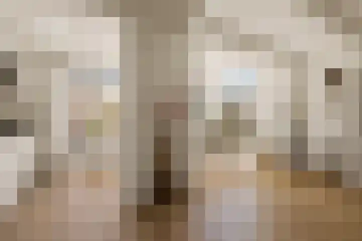 Rietschoot 217 Oostzaan thumbnail 22