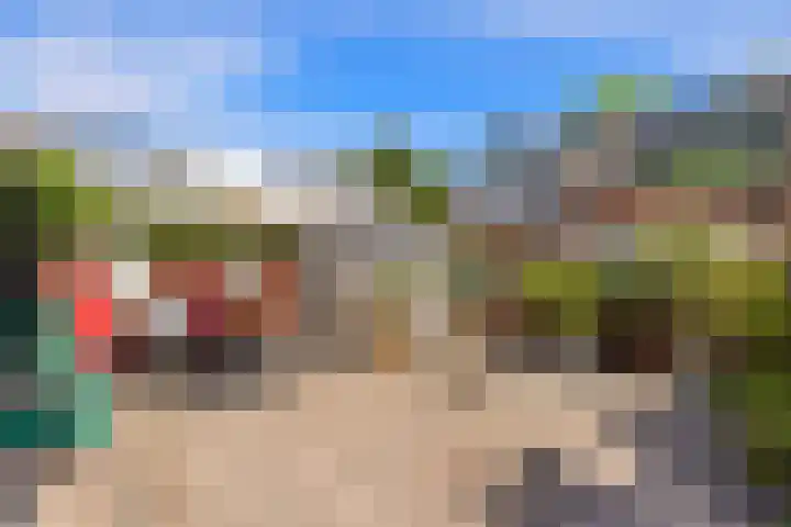 Rietschoot 217 Oostzaan thumbnail 28