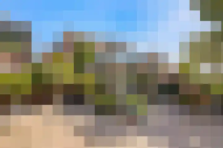 Rietschoot 217 Oostzaan thumbnail 30