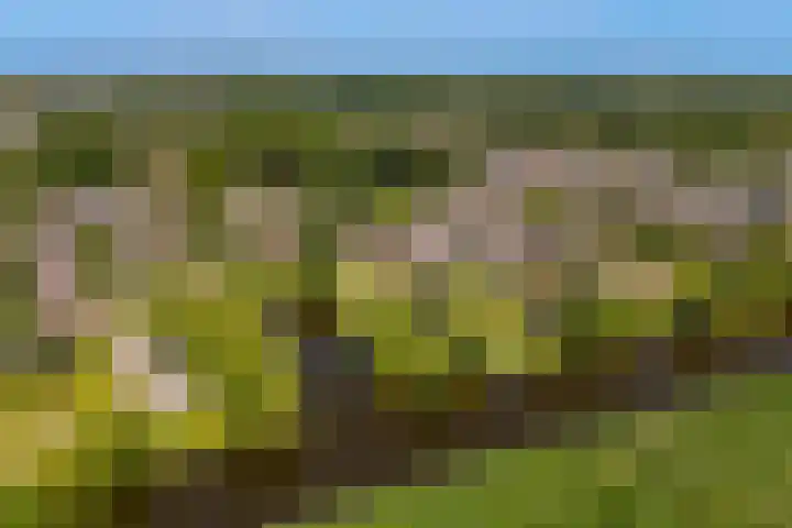 Rietschoot 217 Oostzaan thumbnail 42