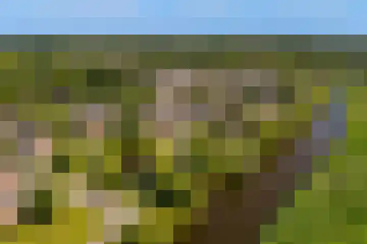 Rietschoot 217 Oostzaan thumbnail 43