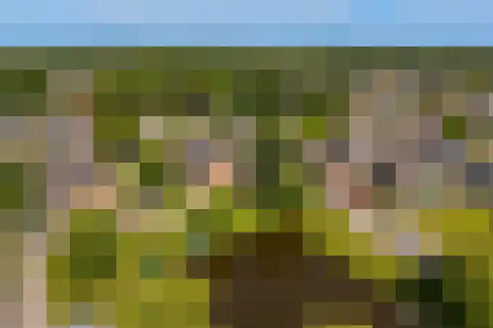 Rietschoot 217 Oostzaan thumbnail 44