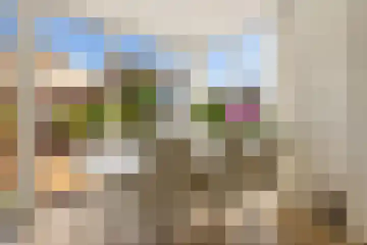 Rietschoot 217 Oostzaan thumbnail 5