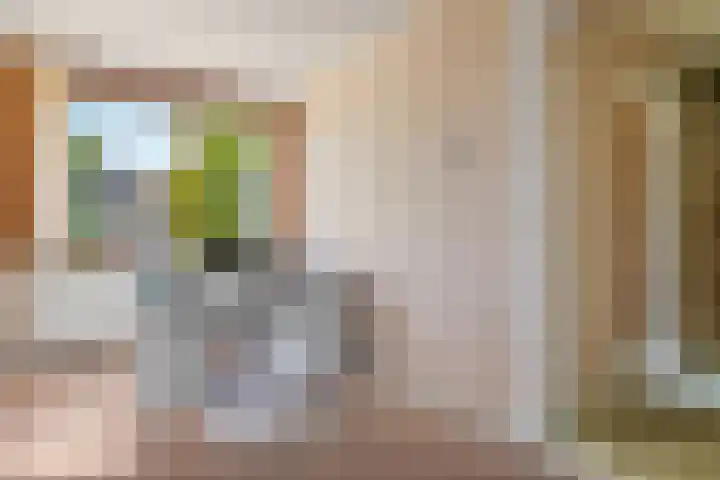 Rietschoot 217 Oostzaan thumbnail 7