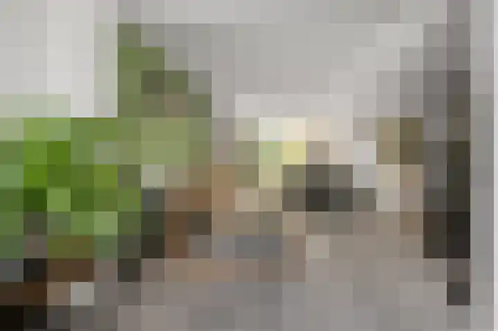 Rietschoot 22 Oostzaan thumbnail 11