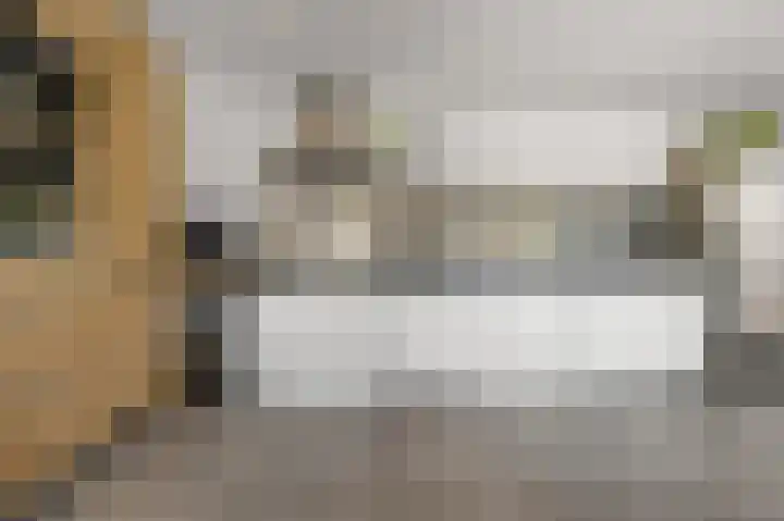 Rietschoot 22 Oostzaan thumbnail 12