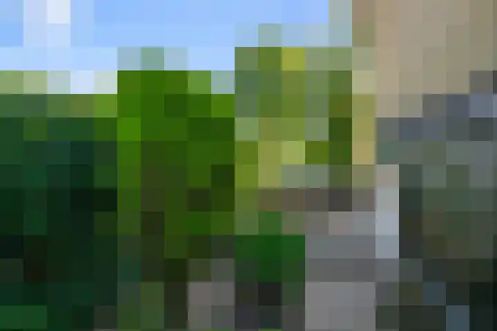 Rietschoot 22 Oostzaan thumbnail 24