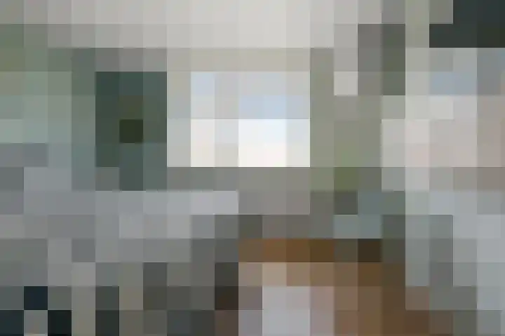 Rietschoot 22 Oostzaan thumbnail 32
