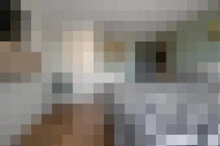 Rietschoot 22 Oostzaan thumbnail 33