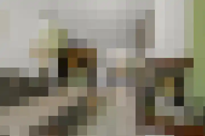 Rietschoot 22 Oostzaan thumbnail 4