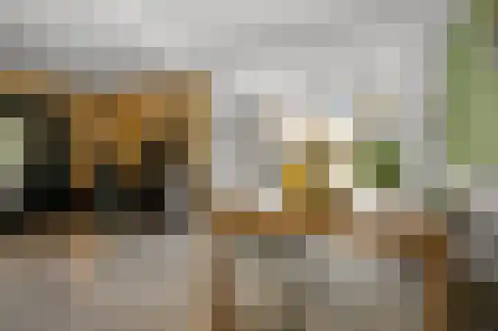 Rietschoot 22 Oostzaan thumbnail 5