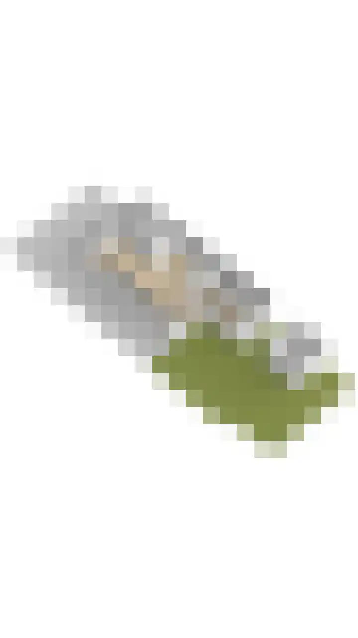 Rietschoot 22 Oostzaan thumbnail 60