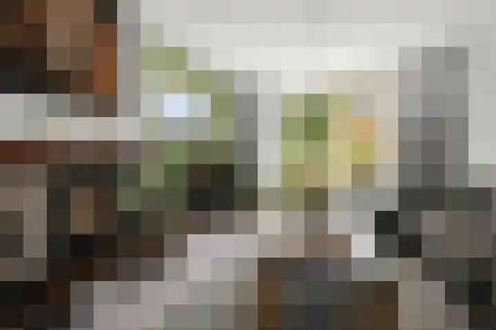 Rietschoot 22 Oostzaan thumbnail 8