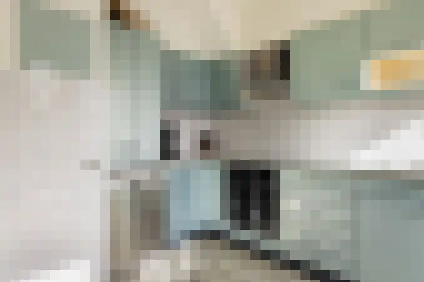 Rietschoot 233 Oostzaan thumbnail 14