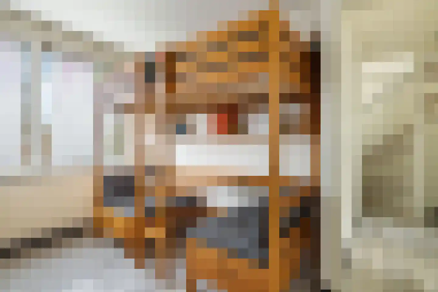 Rietschoot 233 Oostzaan thumbnail 27