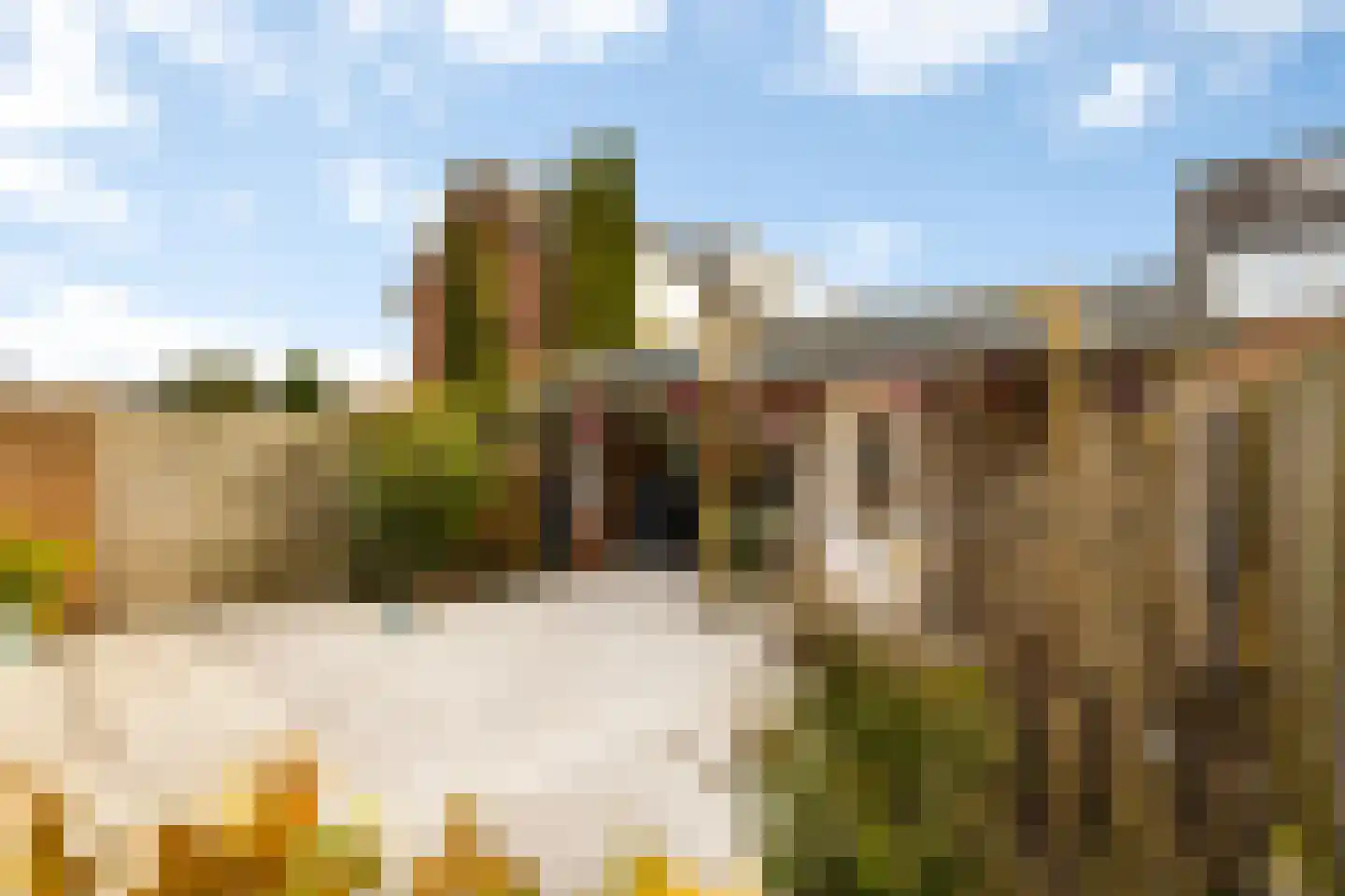 Rietschoot 233 Oostzaan thumbnail 40