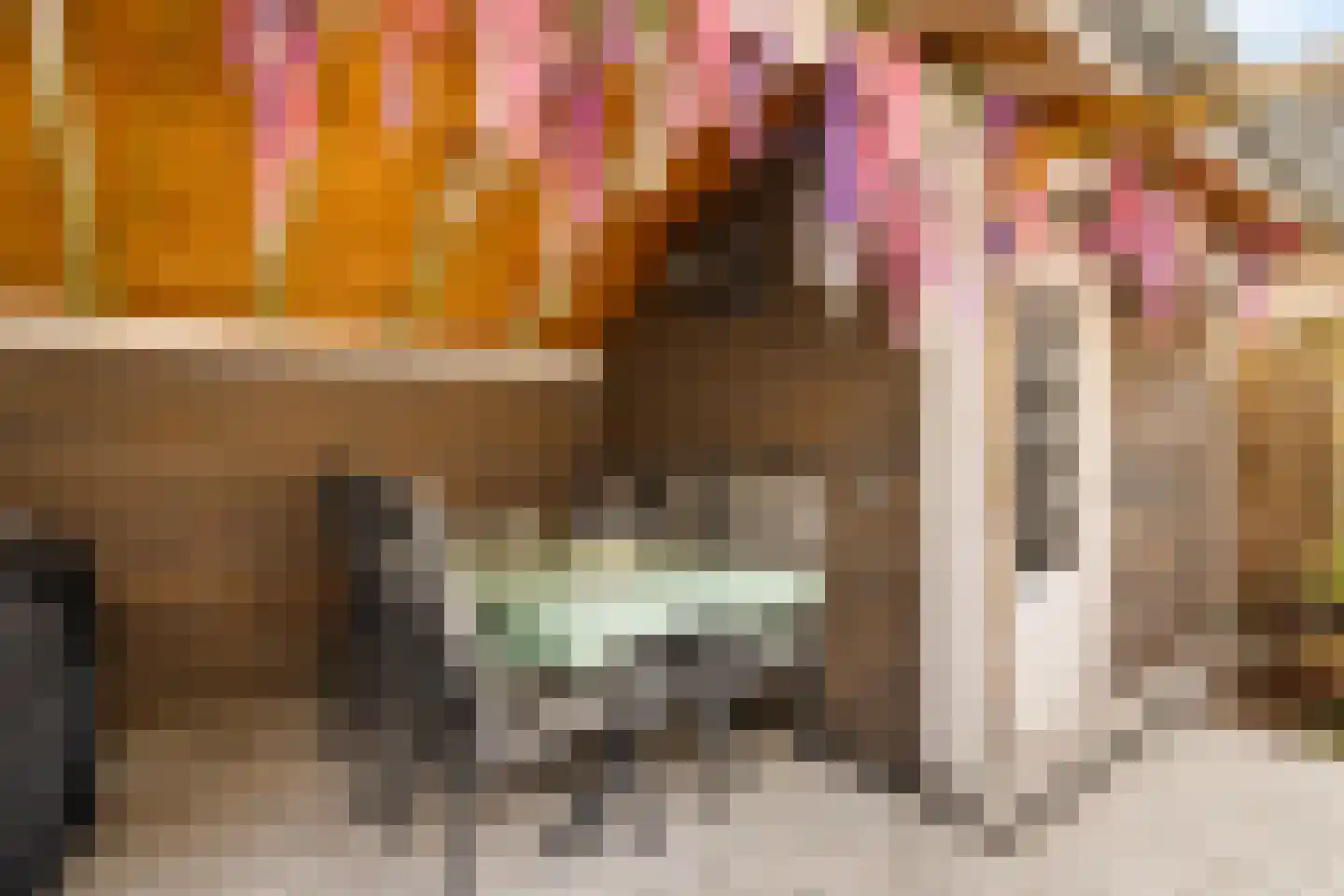 Rietschoot 233 Oostzaan thumbnail 43