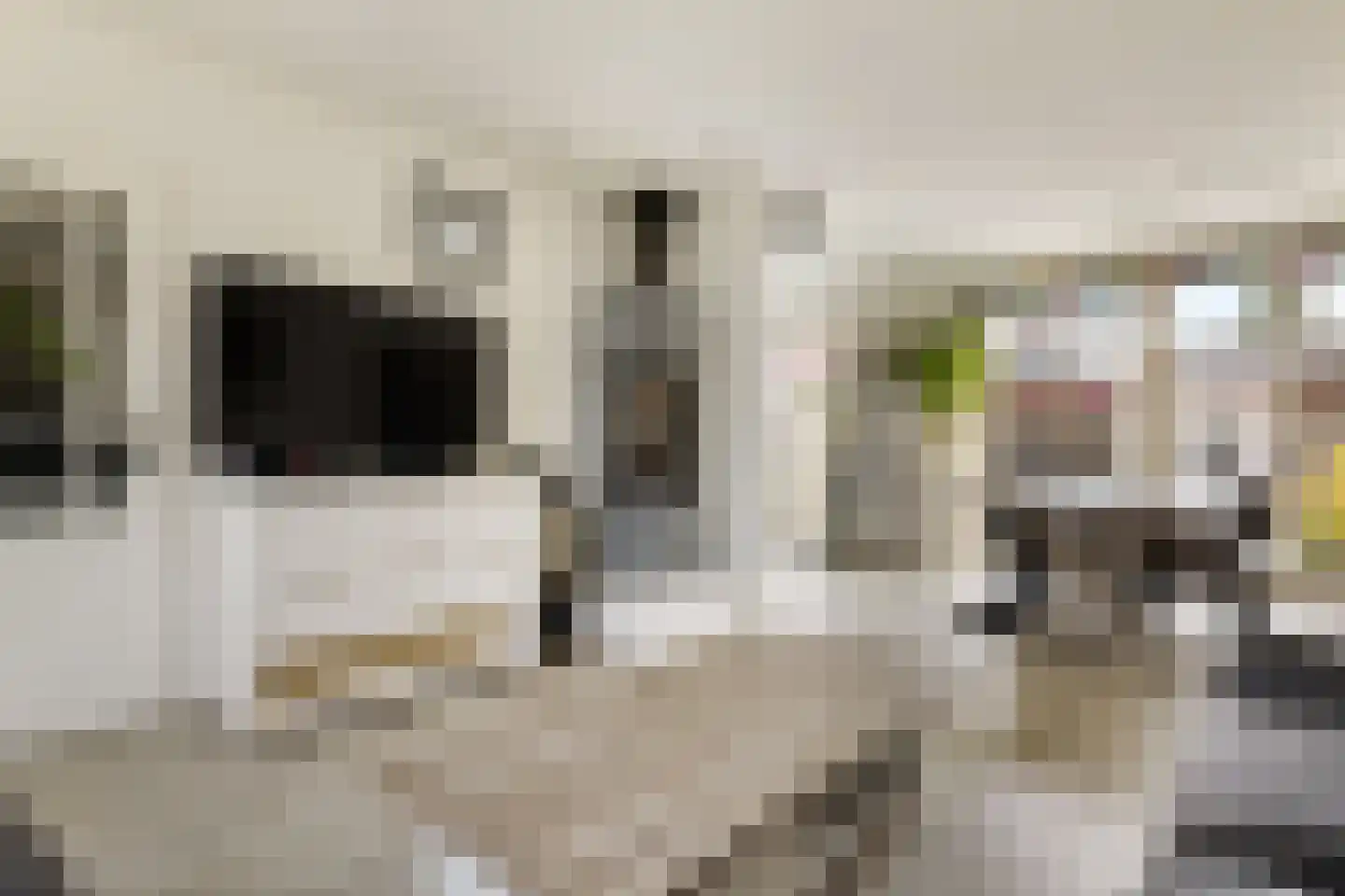 Rietschoot 233 Oostzaan thumbnail 5