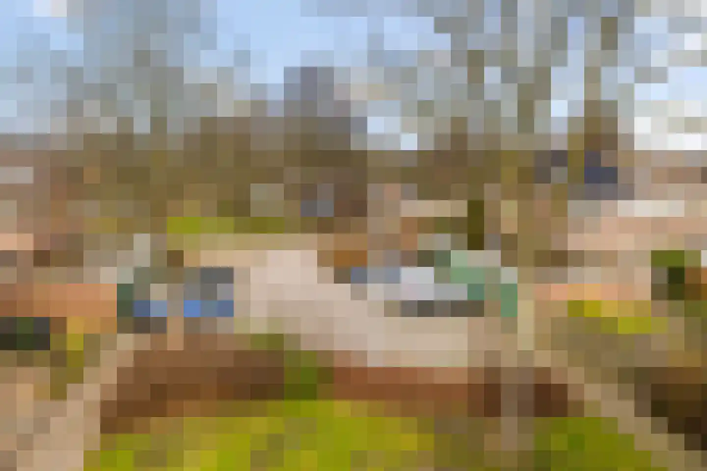 Rietschoot 233 Oostzaan thumbnail 52