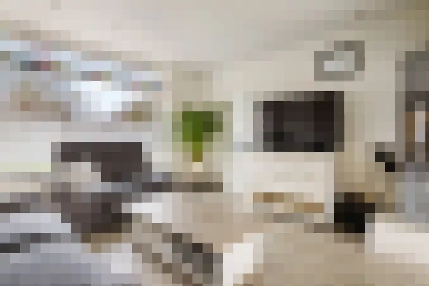 Rietschoot 233 Oostzaan thumbnail 7