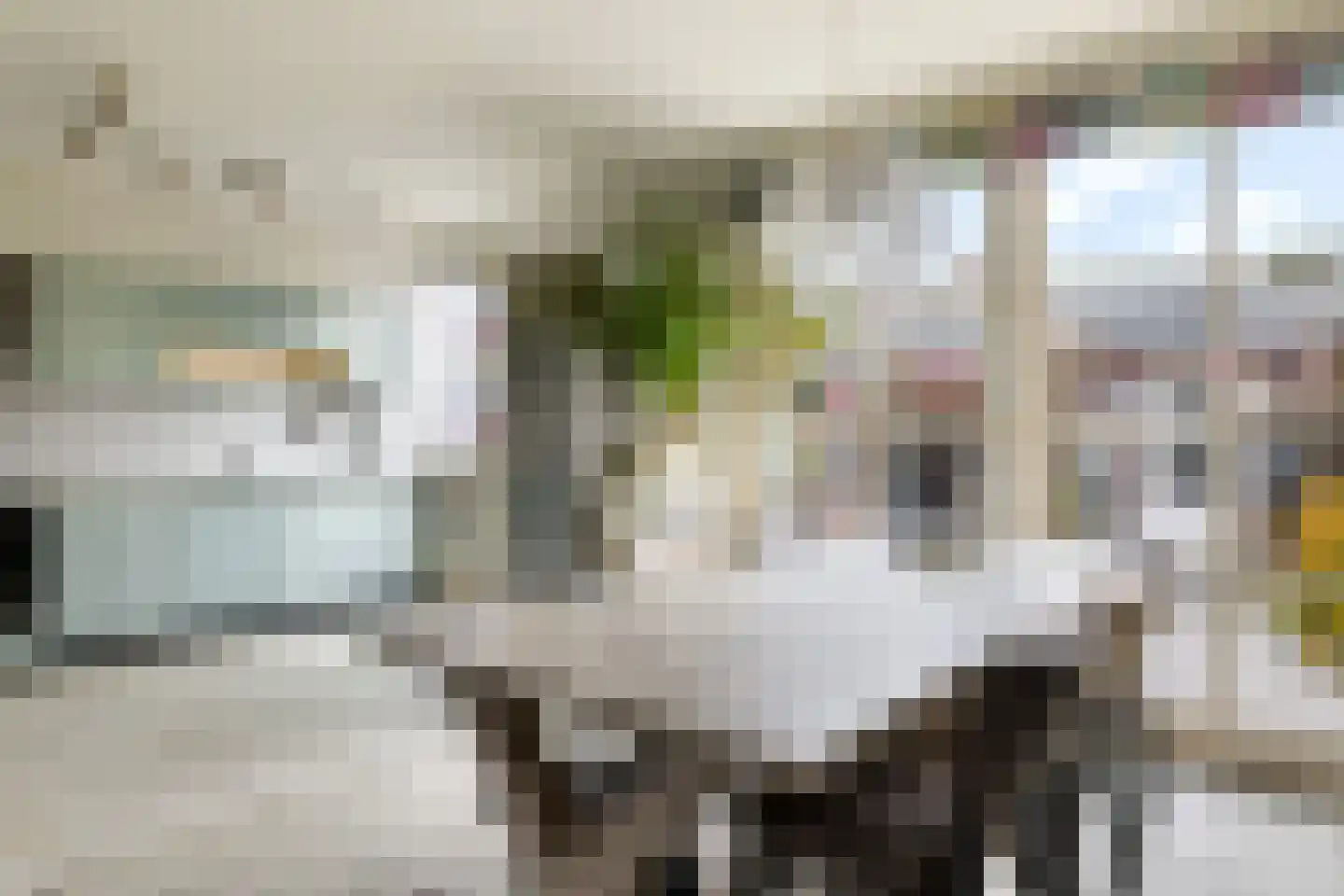 Rietschoot 233 Oostzaan thumbnail 8