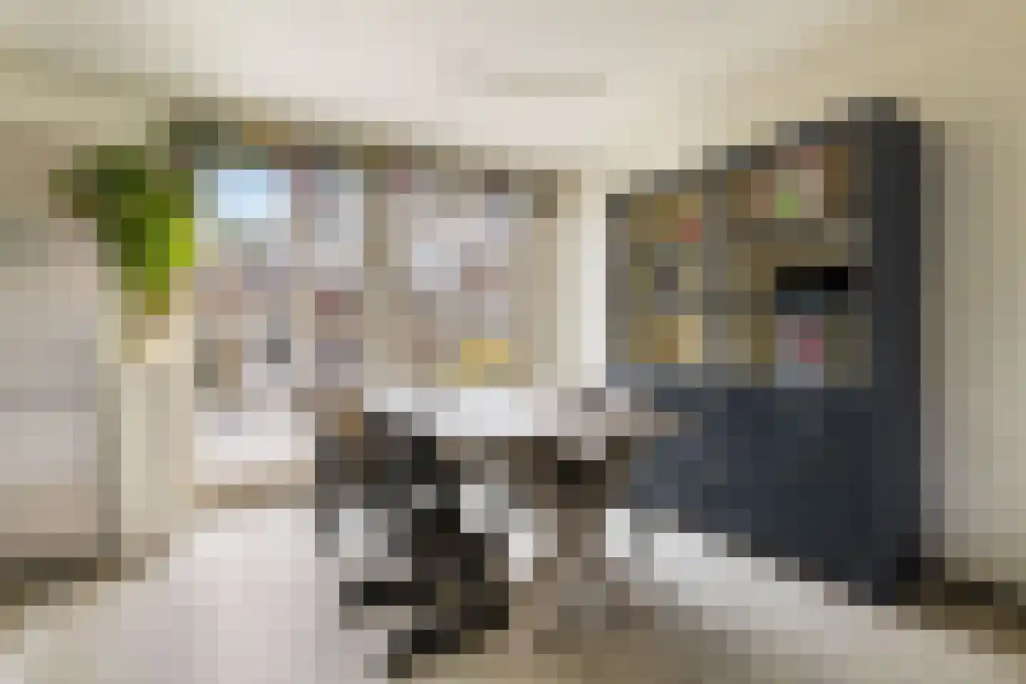 Rietschoot 233 Oostzaan thumbnail 9