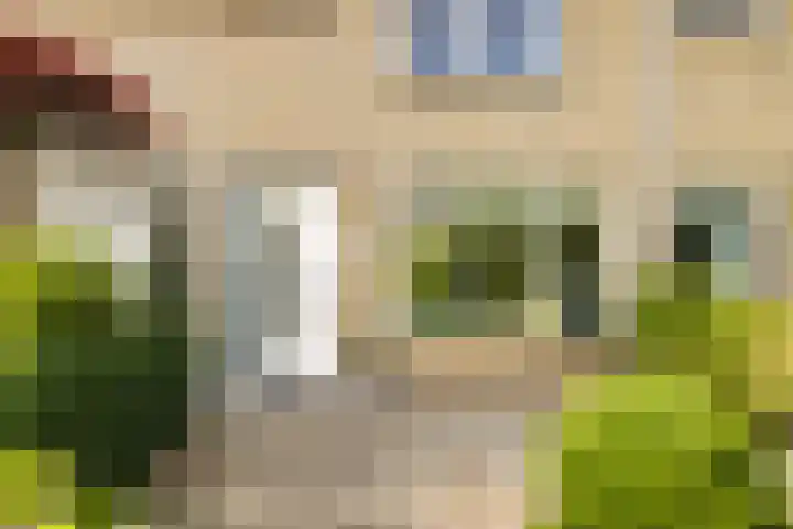 Rietschoot 262 Oostzaan thumbnail 11