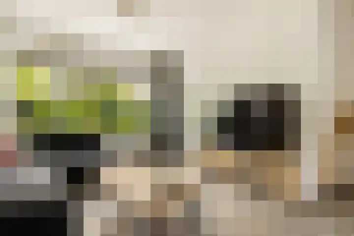 Rietschoot 262 Oostzaan thumbnail 13