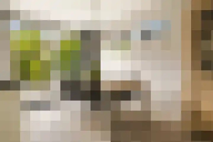 Rietschoot 262 Oostzaan thumbnail 16