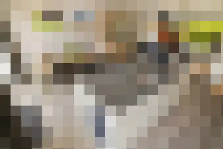 Rietschoot 262 Oostzaan thumbnail 18