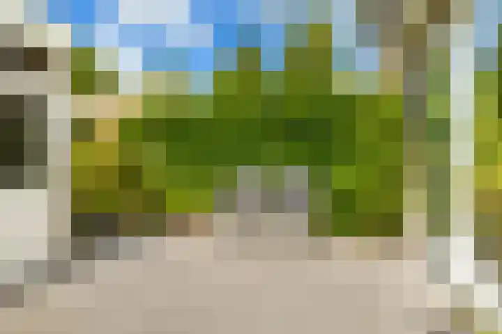 Rietschoot 262 Oostzaan thumbnail 19
