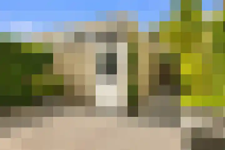 Rietschoot 262 Oostzaan thumbnail 20