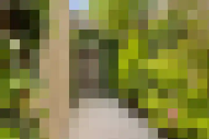 Rietschoot 262 Oostzaan thumbnail 21