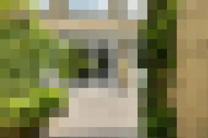 Rietschoot 262 Oostzaan thumbnail 23
