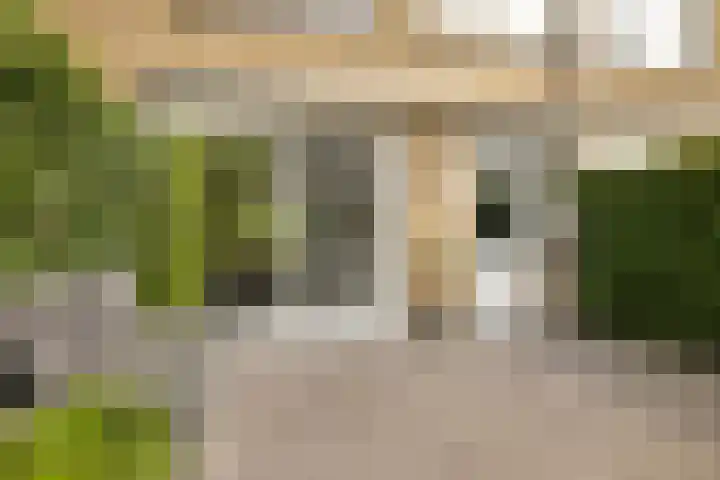 Rietschoot 262 Oostzaan thumbnail 25
