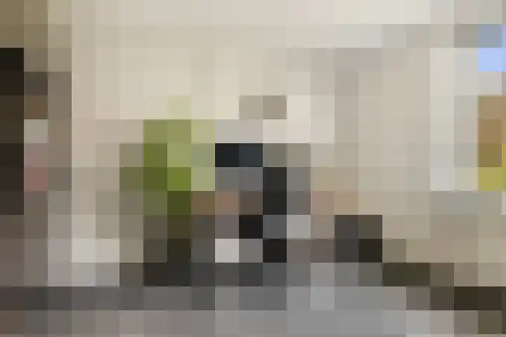 Rietschoot 262 Oostzaan thumbnail 29