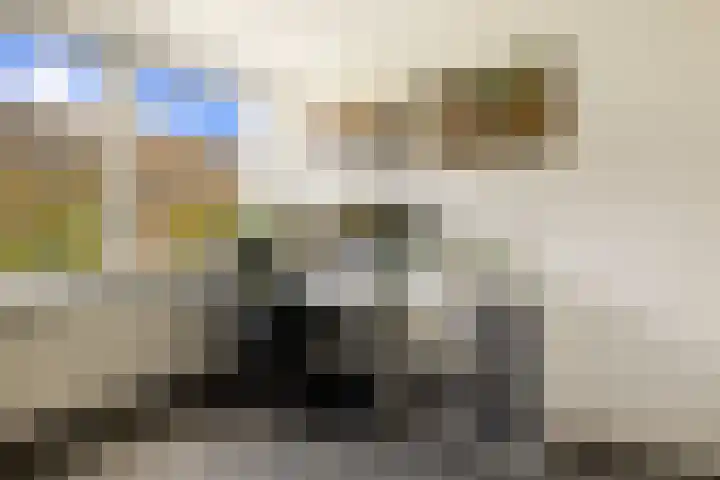 Rietschoot 262 Oostzaan thumbnail 30