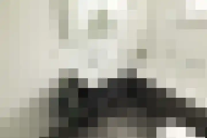 Rietschoot 262 Oostzaan thumbnail 33